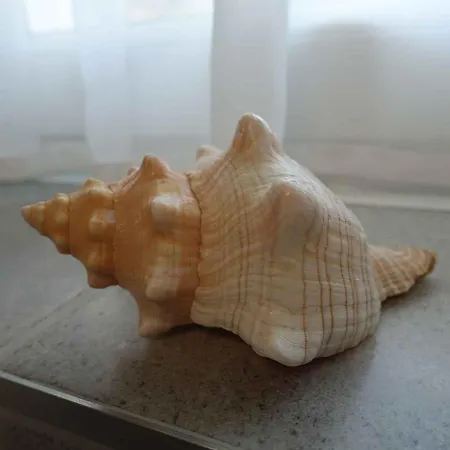 Hébergement de vacances In - Balaton 43111 *